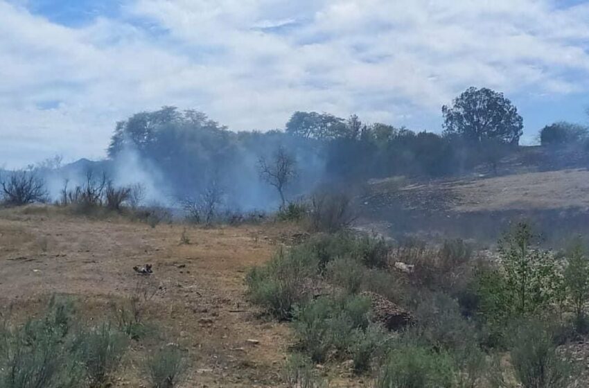  Aumentan a 36 los incendios forestales en Sonora: Protección Civil – Radio Fórmula