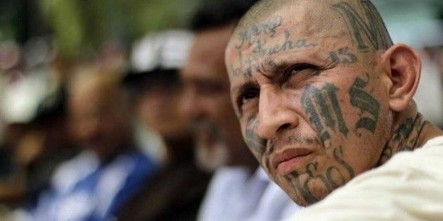  ¿Qué es la Mara Salvatrucha y qué significa el número 13 para los pandilleros?