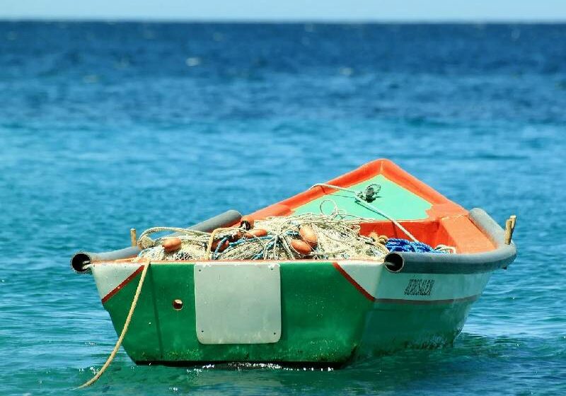  Consumen en la entidad mariscos de pesca ilegal – 24 Horas Yucatán