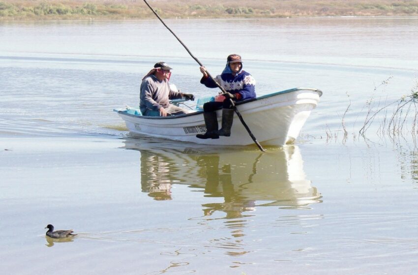  Reconocen a mujeres en la pesca – Debate