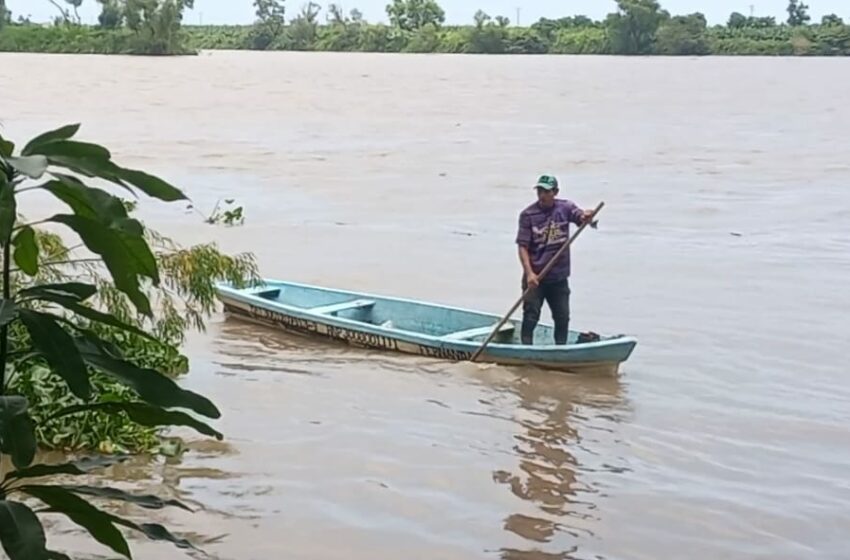  Temporada de frentes fríos dejó sin trabajo a pescadores de Veracruz | e-consulta.com 2023