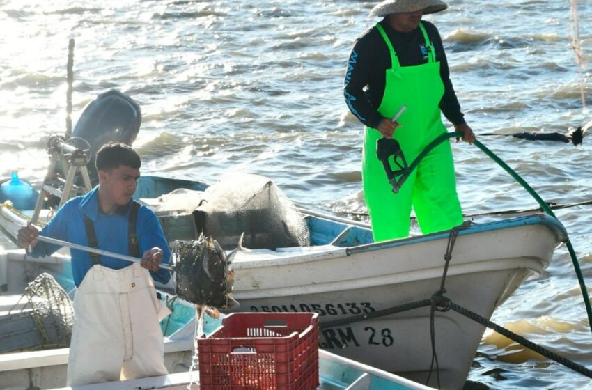  Pescadores ribereños avizoran días complicados con la veda de varias especies – Debate