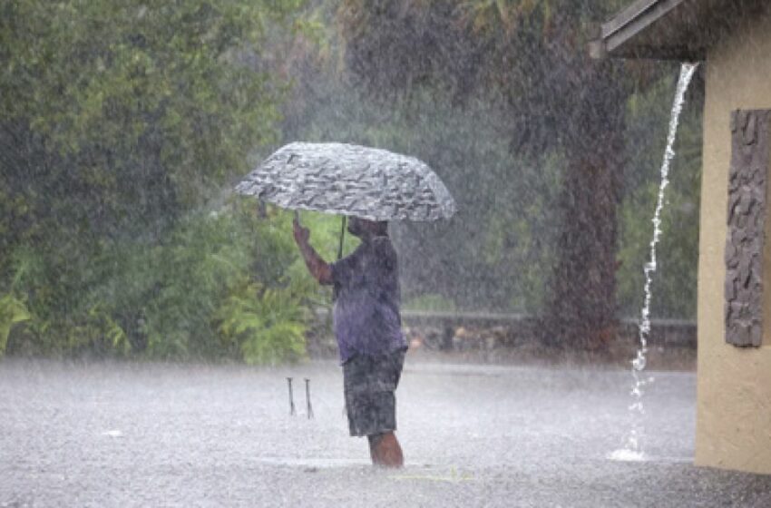  Tormentas torrenciales paraizan el sur de Florida – Los Angeles Times