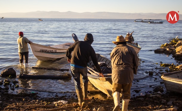  Trabaja Secretaría de Pesca y Acuacultura en pro de pescadores de Tamaulipas – Milenio