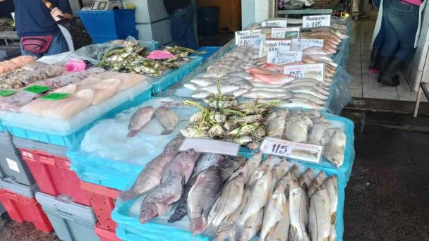  Apenas sobreviven con ventas en mercado de pescaderías – Imagen de Veracruz