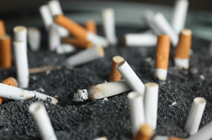  La OMS alerta de los peligros de la Industria tabacalera para el medio ambiente y crisis alimentaria