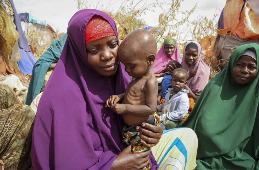  EEUU y otros países anuncian ayuda adicional para Cuerno de África