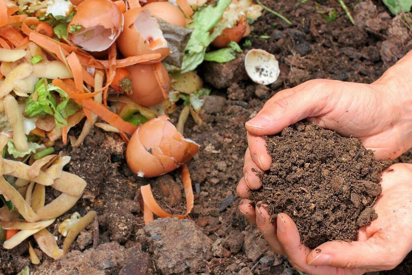  Cómo preparar un abono natural con ingredientes que tienes en tu cocina