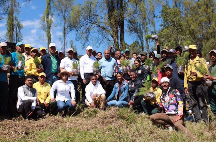  Ministerio de Medio Ambiente realiza jornada de reforestación con estudiantes de …