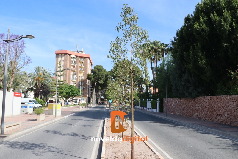  Medio Ambiente planta nuevos árboles en el Paseo de los Molinos – Novelda Digital