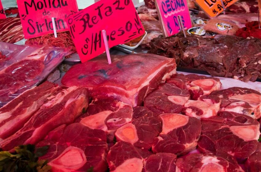  Mexicanos 'hacen el feo' a la carne: Aumentan consumo de alimentos sustitutos – El Financiero