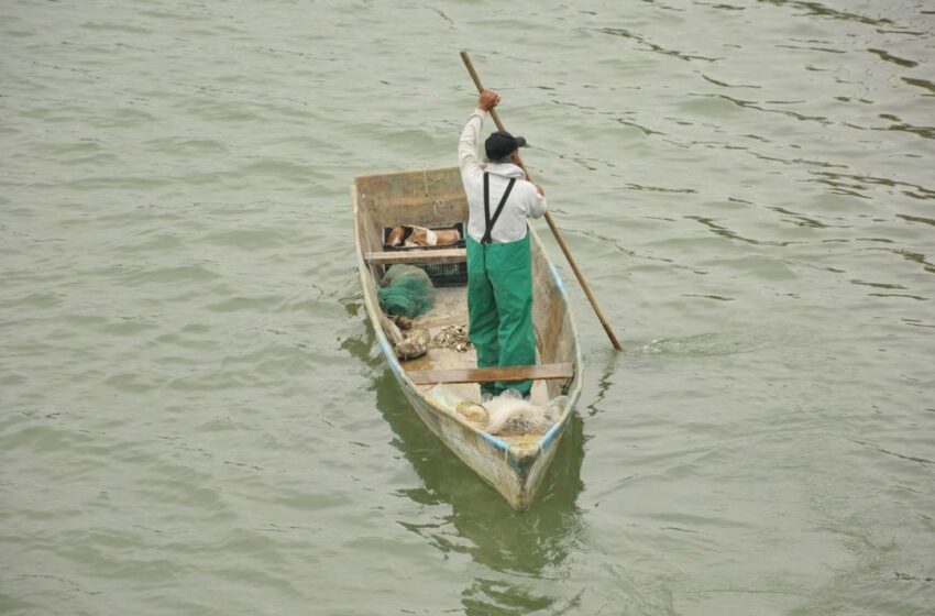  La pesca en Pueblo Viejo fue un legado de los indígenas huastecos, estas son las razones