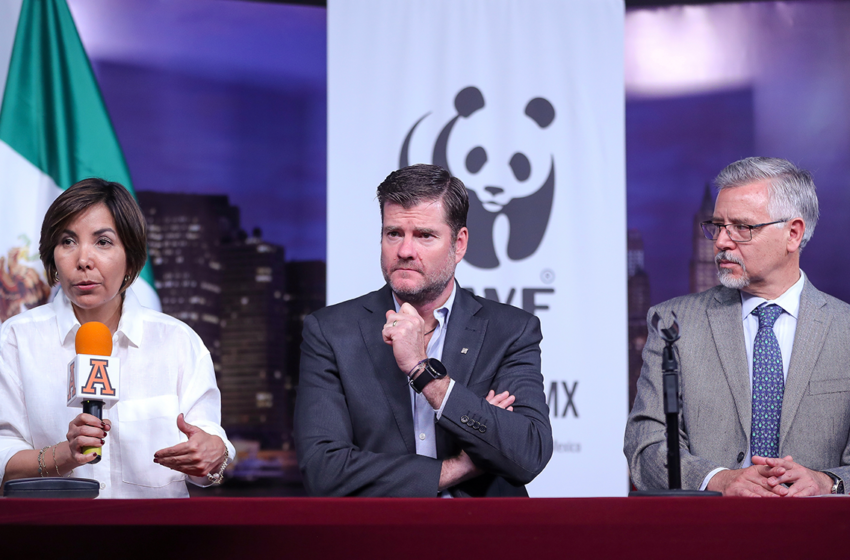  WWF plantea combatir el desperdicio de alimentos en México – Aristegui Noticias