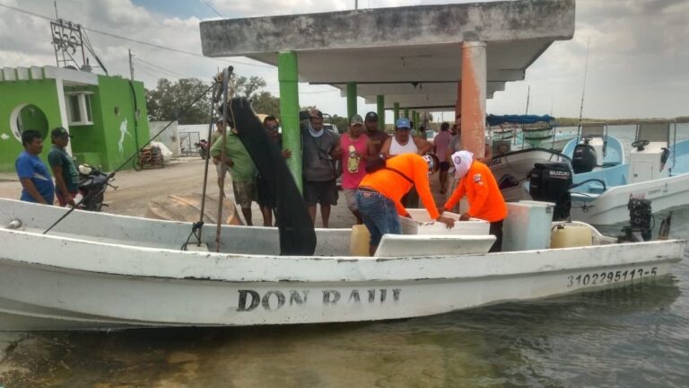  Interceptan y detienen en Río Lagartos a pescadores furtivos – Reporteros Hoy