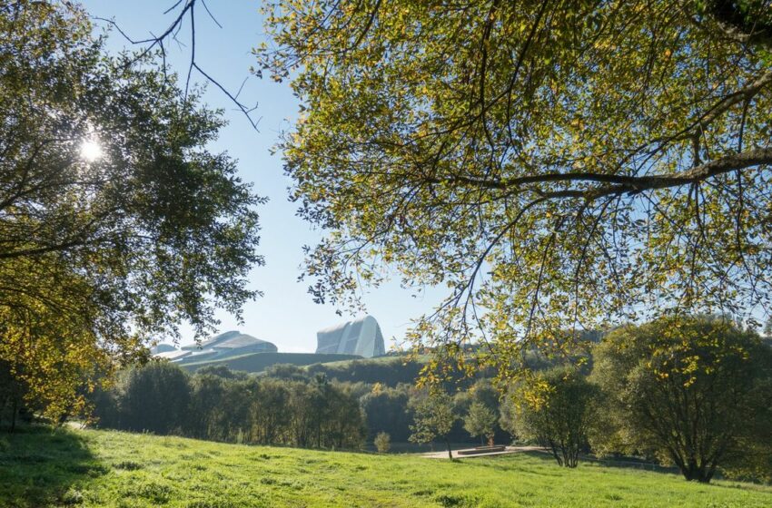  El Gaiás celebra el Día del Medio Ambiente con talleres, yoga y visitas especiales