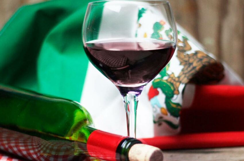  Saca los vinos mexicanos: México se lleva 85 medallas en el Concurso Mundial de Bruselas 2023