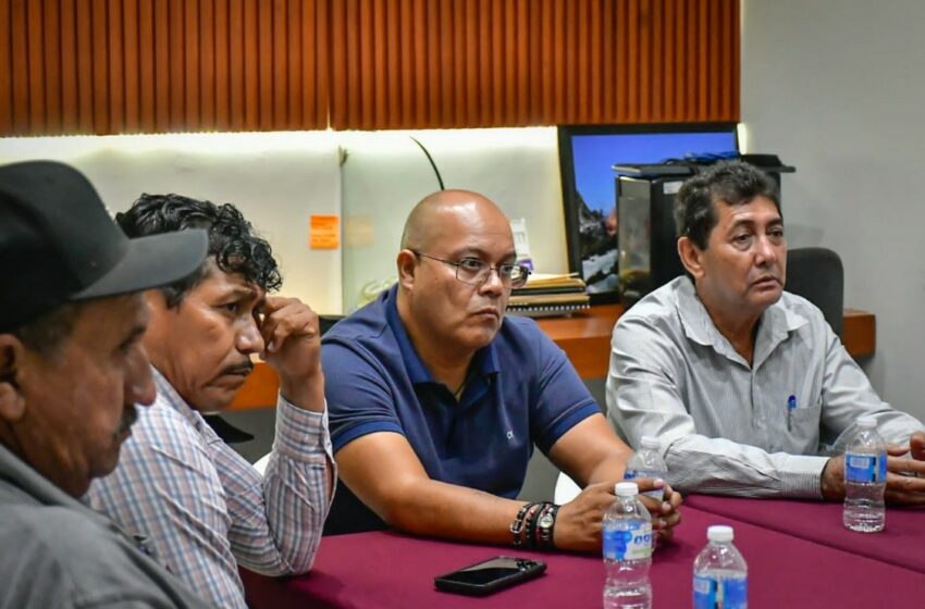 Buscan regularizar alrededor de 800 pescadores artesanales de Mazatlán – Debate