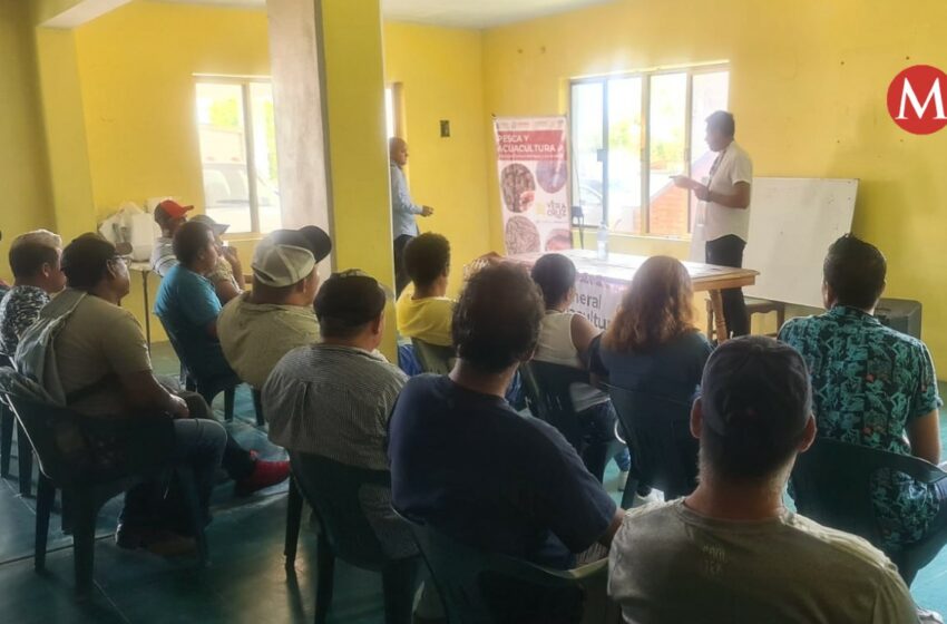  Capacitan a pescadores de norte de Veracruz cultivar para tilapia – Grupo Milenio