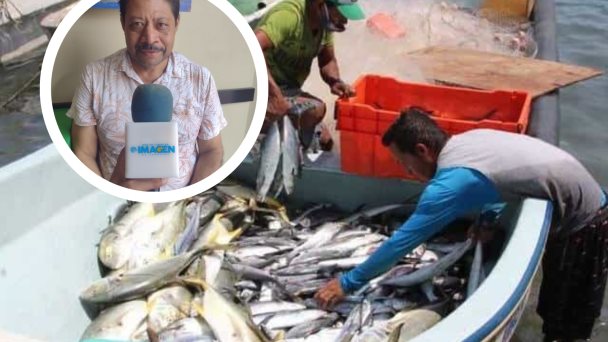  ¡Pesca de 2.5 toneladas fue un milagro!; se echó la red en una zona de buques