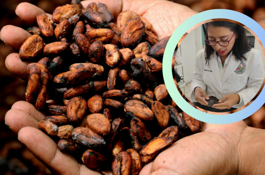  Bye plástico: En Veracruz, María creó recubrimiento de alimentos con cacao | La Silla Rota