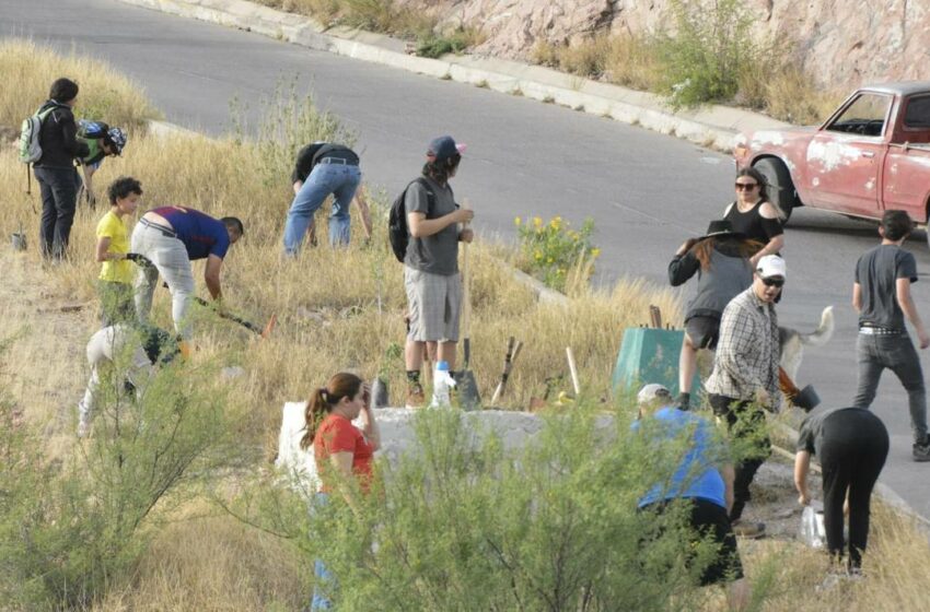  ¡Héroes del medioambiente! Responden al llamado para reforestar el Cerro Coronel