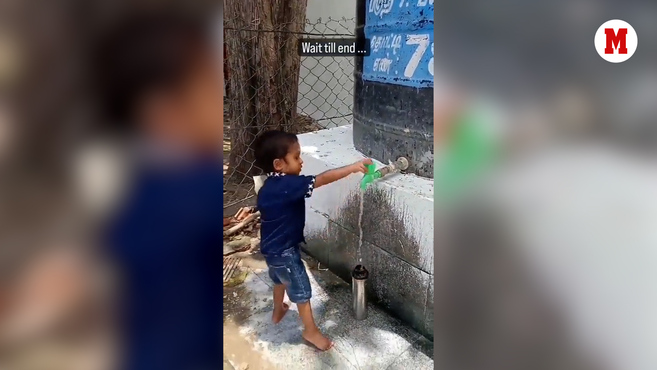  Ola de calor: Niño ayuda a pajaritos a beber agua y enternece las redes sociales – MARCA