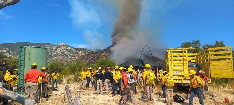  Reportan cinco incendios forestales activos en Sonora – La Jornada