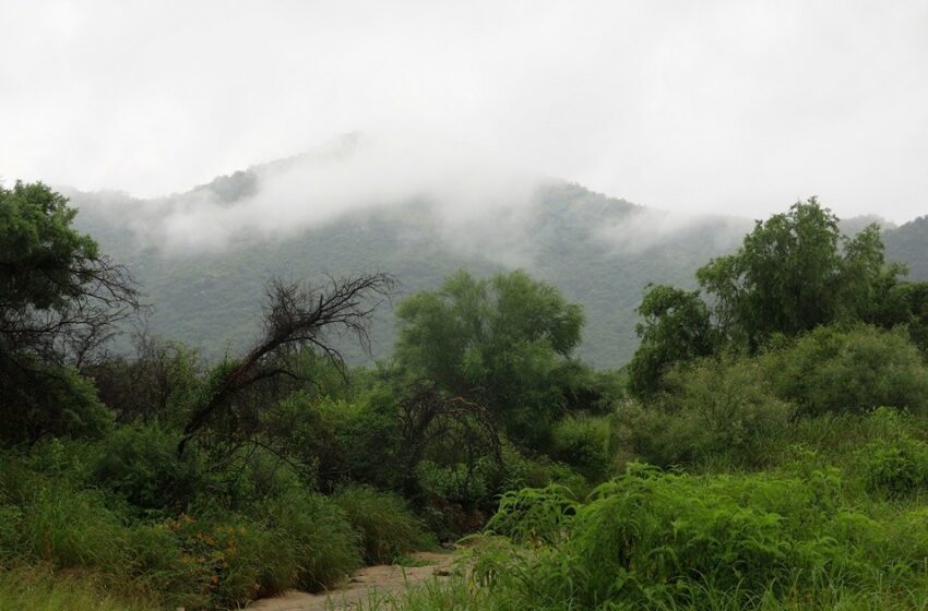  Llegan a Sonora las primeras lluvias por Sahuaripa – El Imparcial