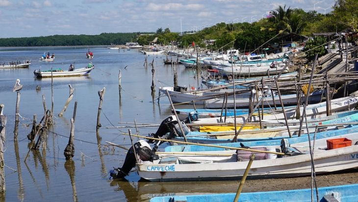  Ribereños piden agilizar liberación de permisos de pesca en Campeche – La Jornada Maya
