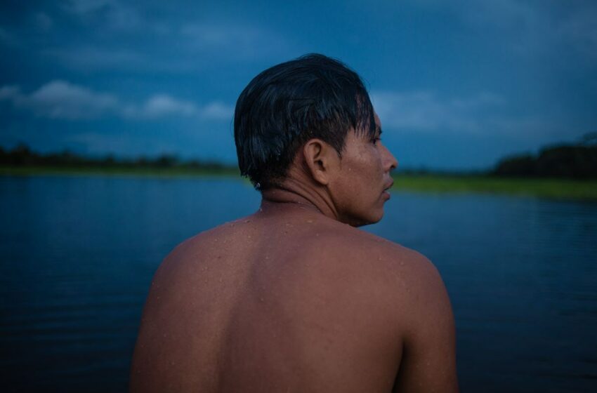 Cómo entender la sobrevivencia de los cuatro niños perdidos en la selva desde una cosmovisión indígena