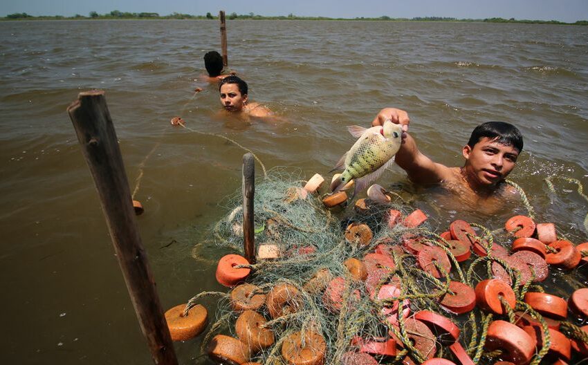  Laguna Julivá, en peligro de desaparecer – El Universal