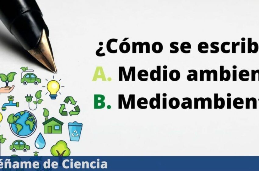  ¿Se escribe «medioambiente» o «medio ambiente»? Esto es lo que dice la RAE