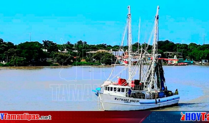  Gestionan apoyos para pescadores por veda del camarón en Tamaulipas