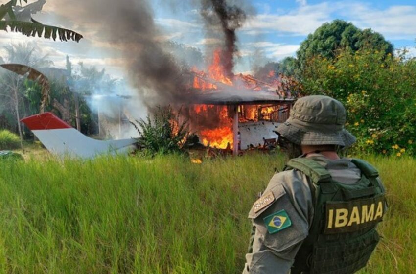  El crimen organizado dificulta lucha contra minería ilegal Amazonia brasileña – IPS Noticias