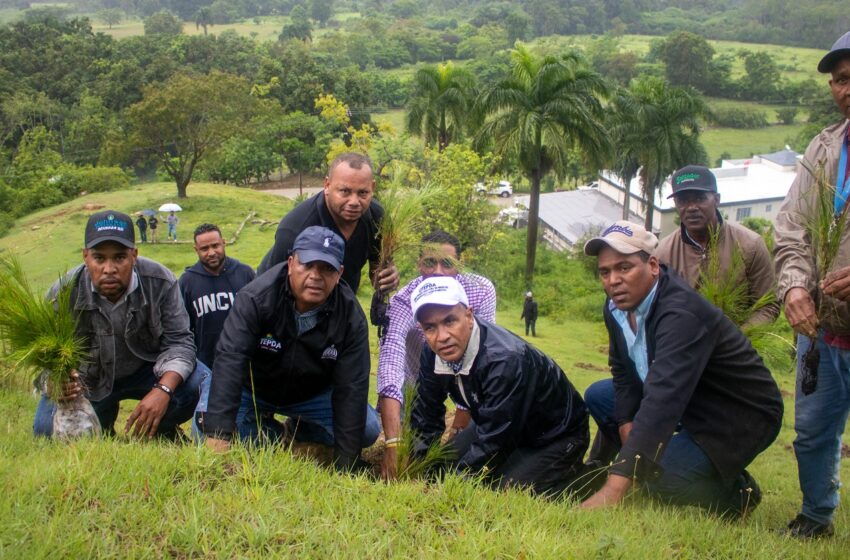  En el Día Mundial de Medio Ambiente, UTEPDA realiza jornada de siembra en Hondo Valle