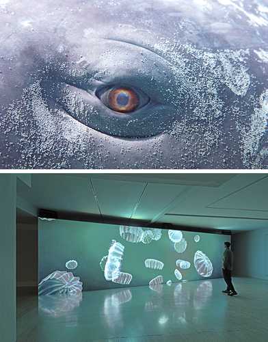  Wu Tsang instala De ballenas,  un universo marino en el Museo Thyssen