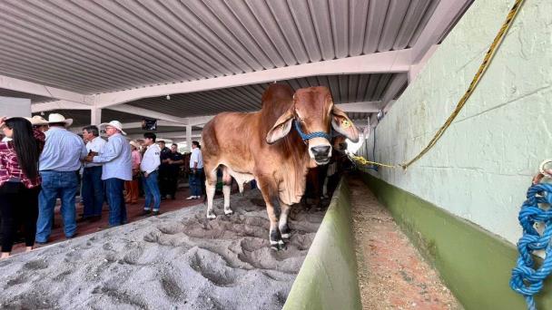  Realizarán la primera edición de la Expo Feria Agua Dulce – Imagen de Veracruz