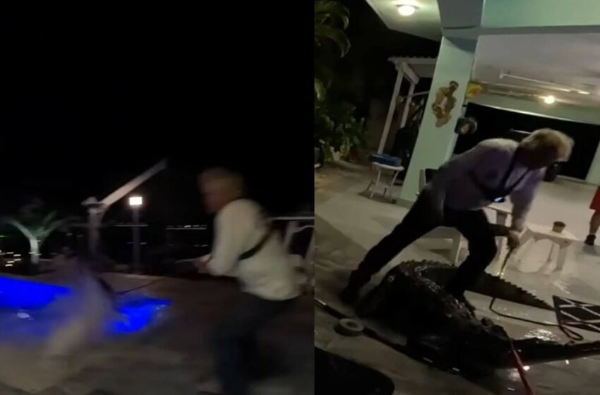  VIDEO: Autoridades de Florida atrapan un cocodrilo de 3 metros nadando en piscina