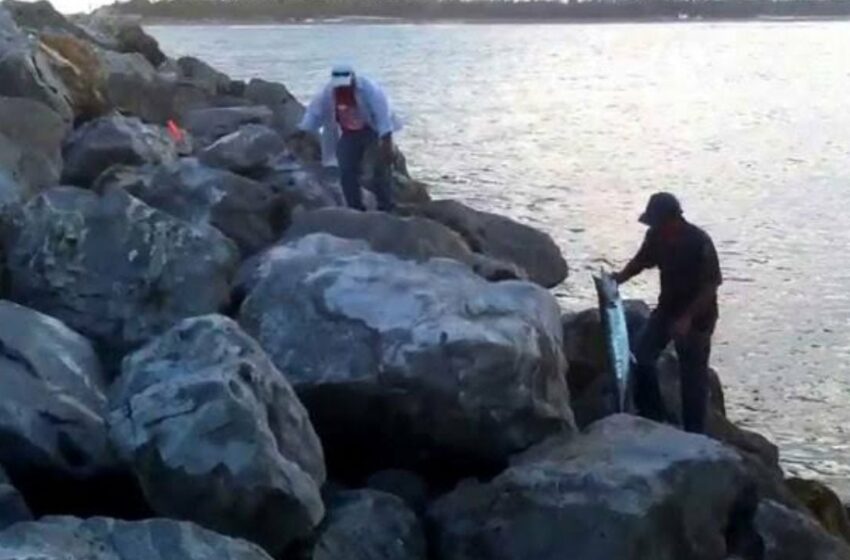  Piden pescadores deportivos que vigilen escolleras ante la presencia de pescadores furtivos