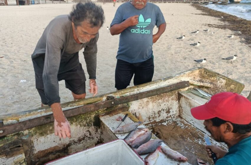  El “superpeso” afecta también a la pesca en Yucatán