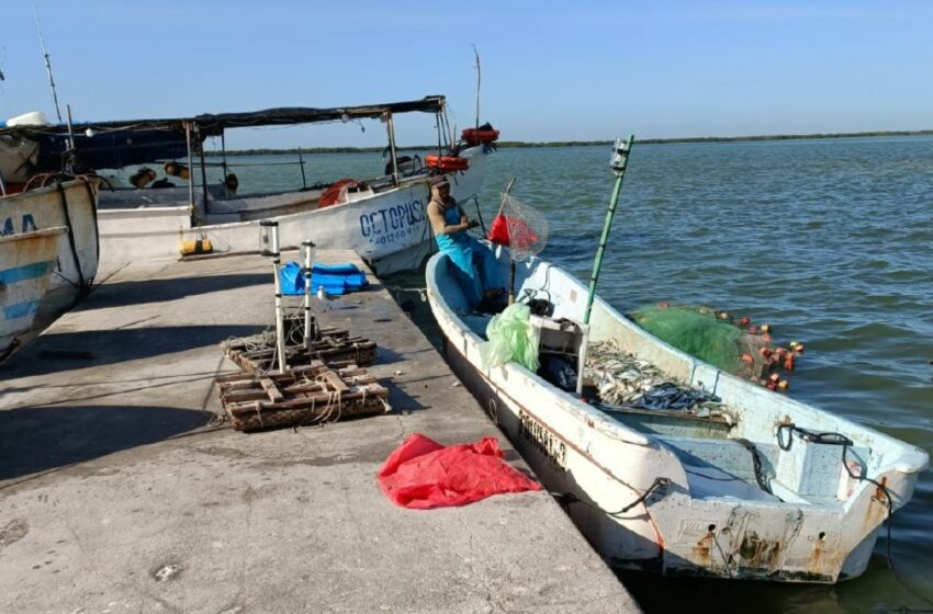  Pescadores en Yucatán toman medidas extremas ante piratas en alta mar