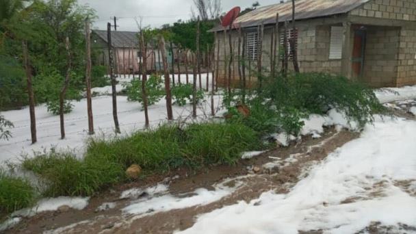  Medio Ambiente investiga muerte de peces en río Haina – Diario Libre