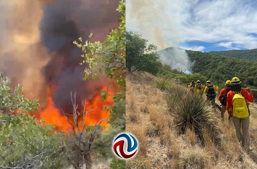  Combaten fuerte incendio forestal en Sonora – Agencia Fronteriza de Noticias