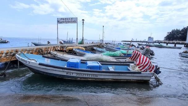 Ola de calor impide a pescadores capturar sardina en Veracruz