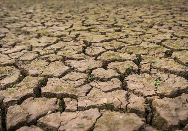  Se reduce sequía en Sonora, apenas 3% en riesgo – MEGANOTICIAS