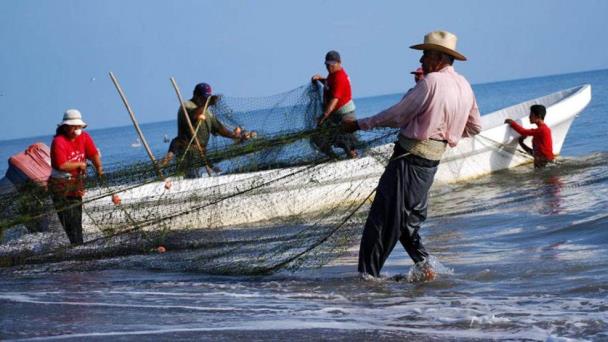  Alista Bienestar apoyos para pescadores en Veracruz