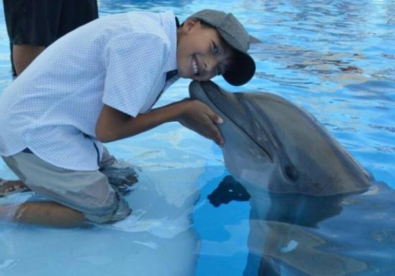  Terapia con delfines inicia en Sonora – MEGANOTICIAS