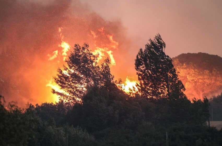  Las altas temperaturas y el viento siguen complicando la extinción de incendios en Grecia, Argelia e Italia