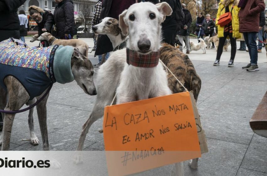  El PP sitúa como director de Medio Ambiente y Bienestar Animal de Palma a un aficionado a la caza