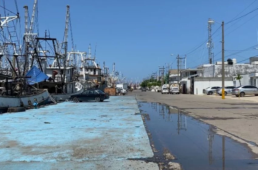  Muelle de Mazatlán en completa tristeza; pescadores no saben si trabajarán este año | Sinaloa – TVP